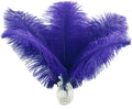 Ballinger Royal Blue Ostrich Feathers - 24Pcs 8-10inch Craft Feathers for Party Centerpieces, Flower Arrangement and Home Decor
