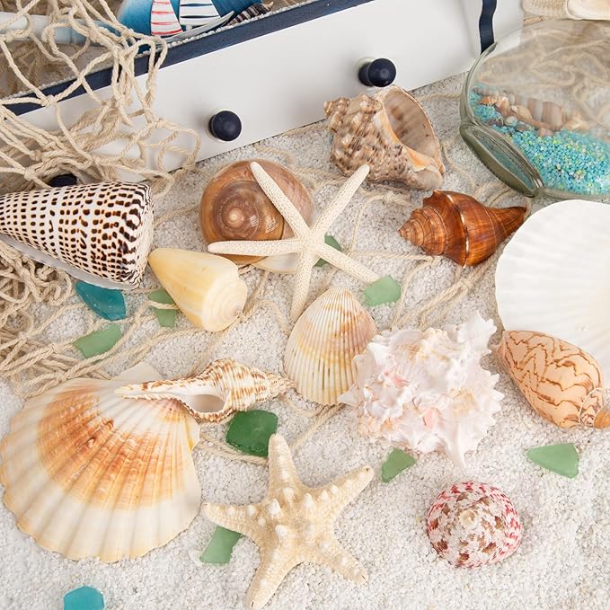 JQAQJU Sea Shells for Decorating 15PCS Large Seashells Starfish Conch for Beach Party,Vase Fillers, Table Scatters, Home Decor, DIY Crafts, Bathroom, Fish Tank Decorations