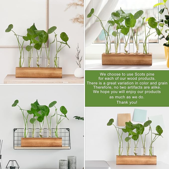 YIBOT Propagation Stations, Plant Terrarium with Wooden Stand, Birthday Gardening Gifts for Women Mom Plant Lovers,Home Office Desk Decor, 5 Glass Test Tubes Vases