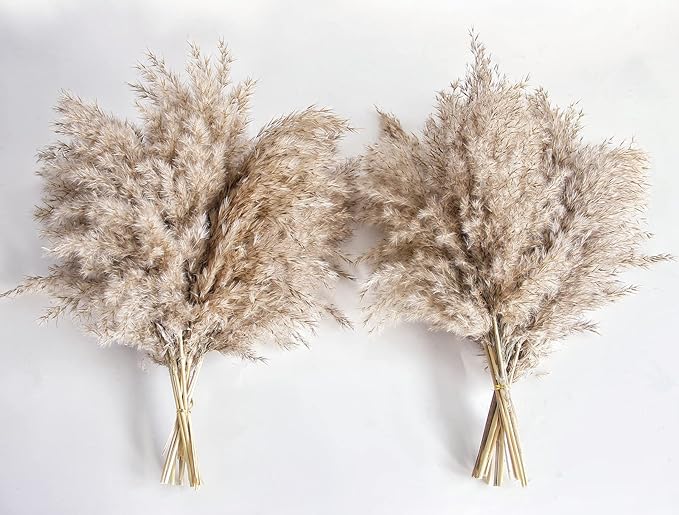 Pampas Grass Decor, Natural Dry Pampas Grass Small, Short Pampass Bulk for Farmhouse, Wall, Kitchen, Bedroom Decor, Office Decor (17 inch )