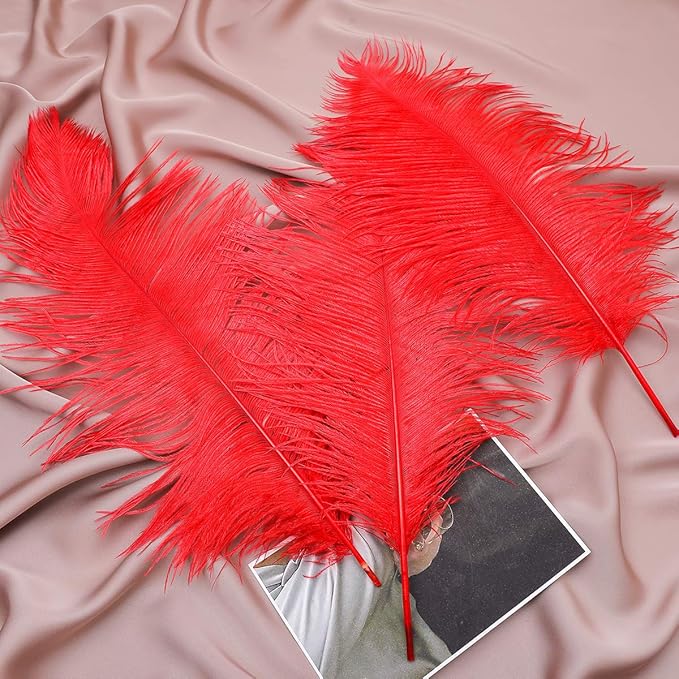 Ballinger Red Ostrich Feathers Bulk - 24Pcs 8-10inch Feathers for Crafts,Party Centerpieces,Wedding and Home Decor