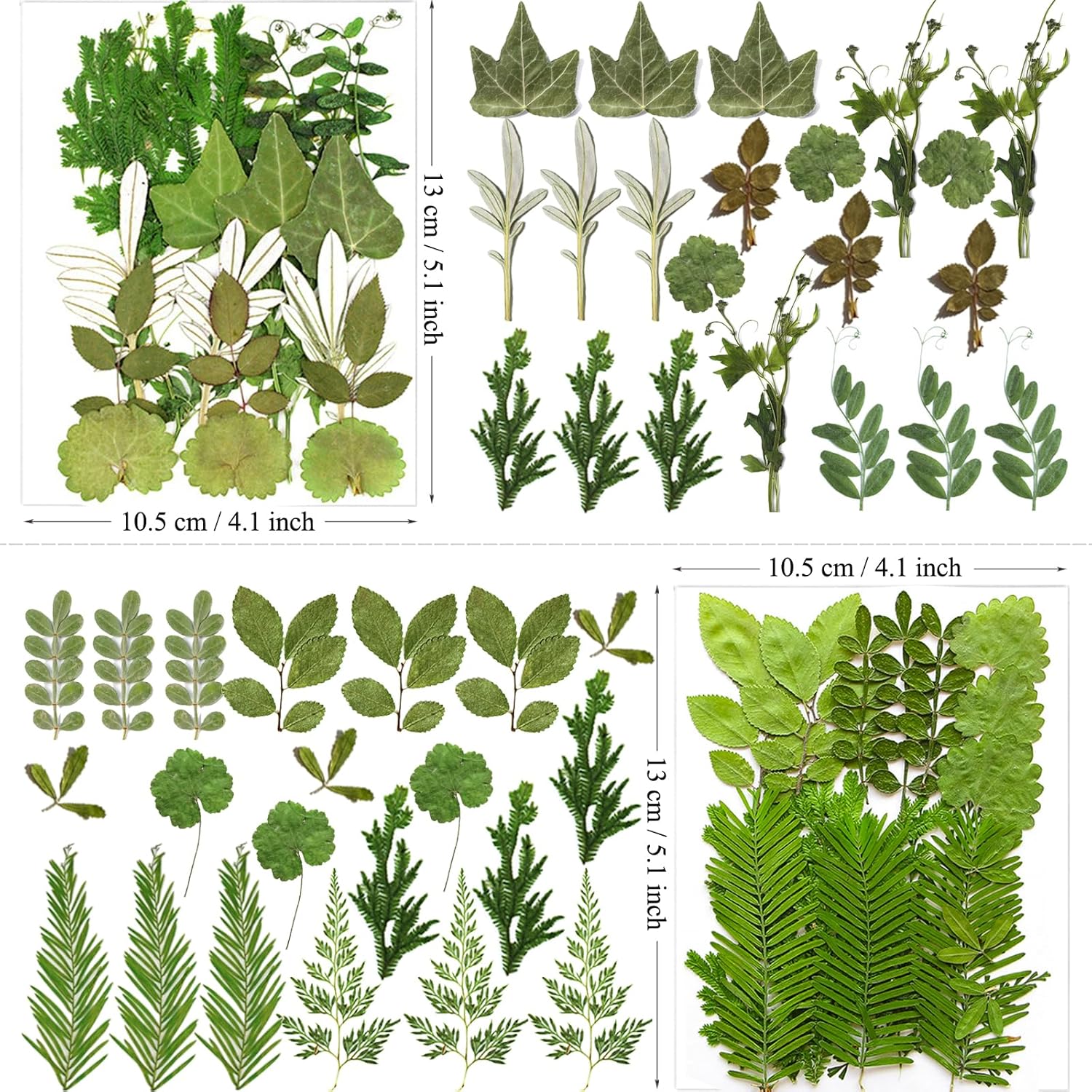 MIKIYA 84Pcs Pressed Dried Leaves for Resin Molds, Assorted Real Natural Bulk Dry Flowers for DIY Art Crafts, Epoxy Jewelry, Candle, Soap Making, Nails Decors Gifts