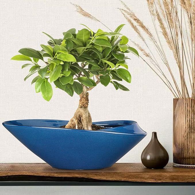 Bonsai Pot - 18 Inch Ceramic Planter for Indoor Outdoor Plants Bonsai Tree Pot Modern Large Succulent Planter Decorative Plant Pot with Drainage Hole Blue