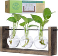 Garden Republic Plant Propagation Station, Wooden Stand with Propagation Tubes, Hanging Plant Glass Tubes Station, Elegant Home Decor, Easy Water Changes, Bamboo Color
