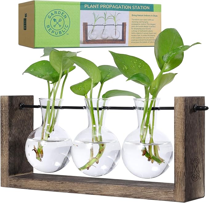 Garden Republic Plant Propagation Station, Wooden Stand with Propagation Tubes, Hanging Plant Glass Tubes Station, Elegant Home Decor, Easy Water Changes, Bamboo Color