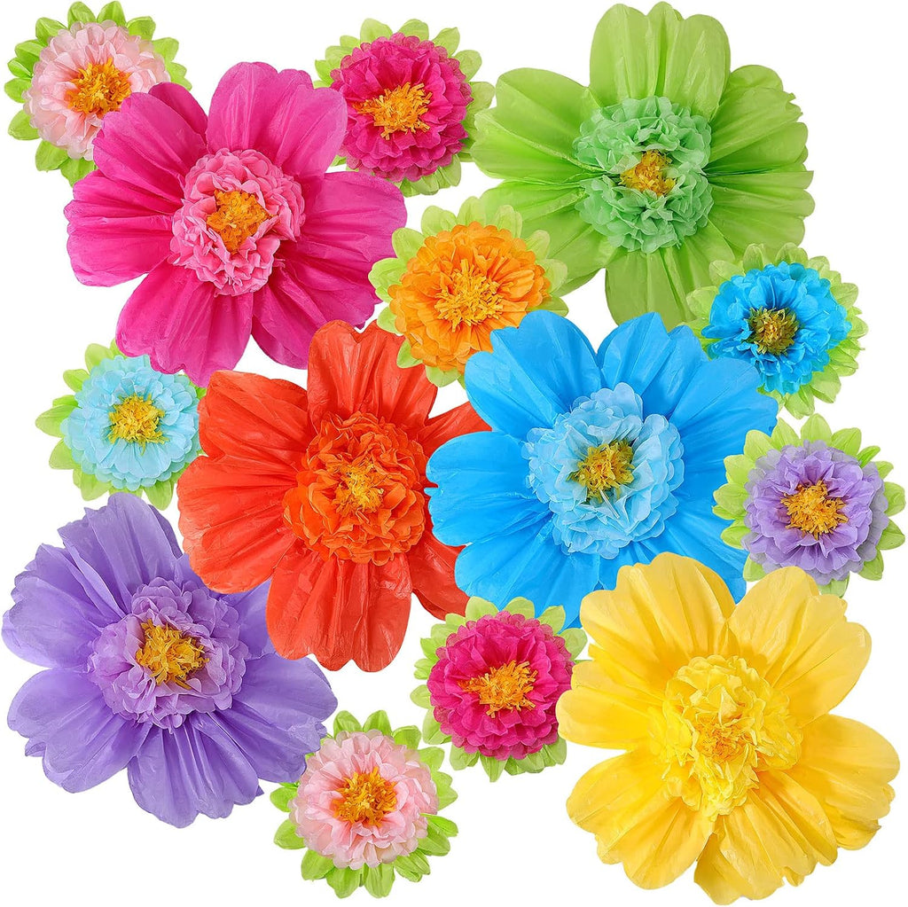 TaoBary Large Colorful Tissue Paper Flowers Giant Fiesta Paper Pom Poms Classroom Wall Decor Mexican Birthday Party Decorations Wedding Backdrop(20" and 10",Rainbow Color,12 Pcs)