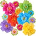 TaoBary Large Colorful Tissue Paper Flowers Giant Fiesta Paper Pom Poms Classroom Wall Decor Mexican Birthday Party Decorations Wedding Backdrop(20" and 10",Rainbow Color,12 Pcs)