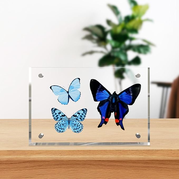 4x6 Inches Acrylic Picture Frames 1 Pack, Double Sided Magnetic Photo Frames,Free Standing on Desk or Table Clear Picture Frames