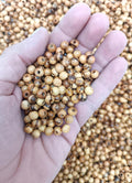 zuluf 5mm olive wood religious beads for jewelry, main product view