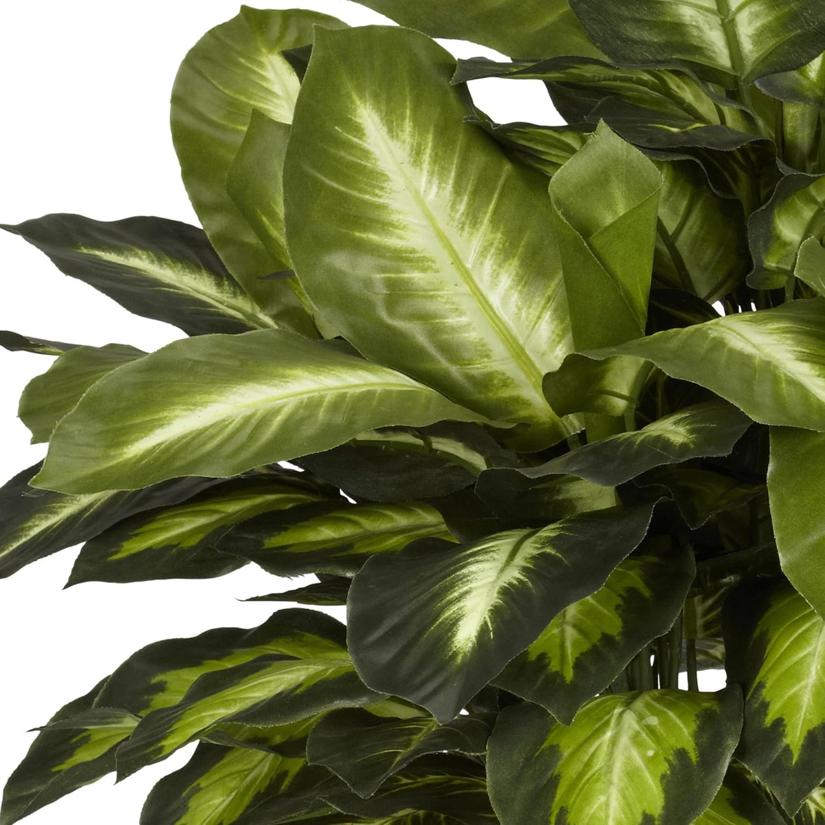 nearly natural 24 in artificial golden dieffenbachia plant showing dimensions