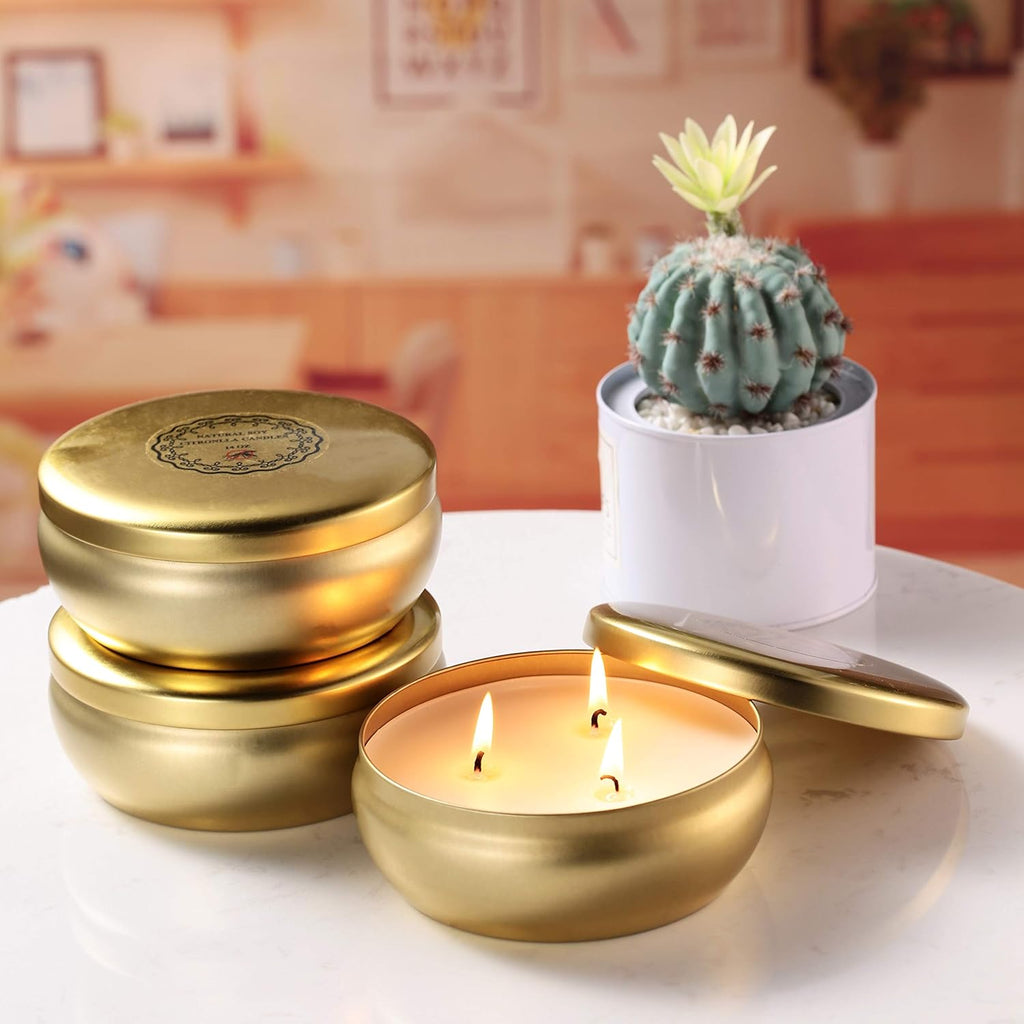 Tuyai Citronella Candles Outdoor and Indoor, 3 Pack 3-Wick Scented Candles Gift Set, Natural Soy Wax Candle