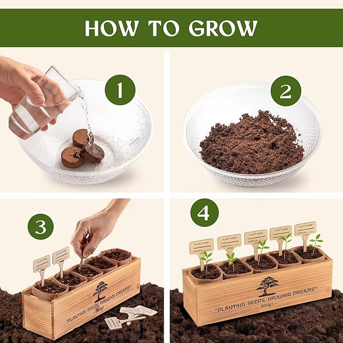 AVERGO Bonsai Tree Kit for Beginners – 5X Unique Japanese Bonzai Trees | Complete Indoor Starter Kit for Growing Bonsai Plants with Tools & Planters – Gardening Gifts for Women & Men