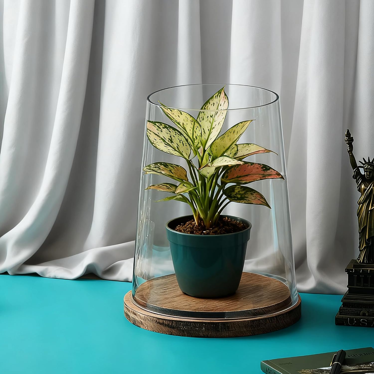 Set of 2 Glass Hurricane Candle Holders with Handmade Sturdy Glass Sleeves and Vintage Natural Wood Base for Pillar Candle & Plants, Industrial, Farmhouse, Display Cloche Bell Jars, Table Centerpiece