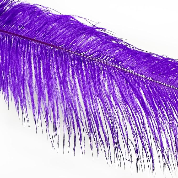 Happy Feather 16-18 inch Purple Ostrich Feathers Craft for Wedding Party Centerpieces Home Decoration DIY Craft Pack of 10