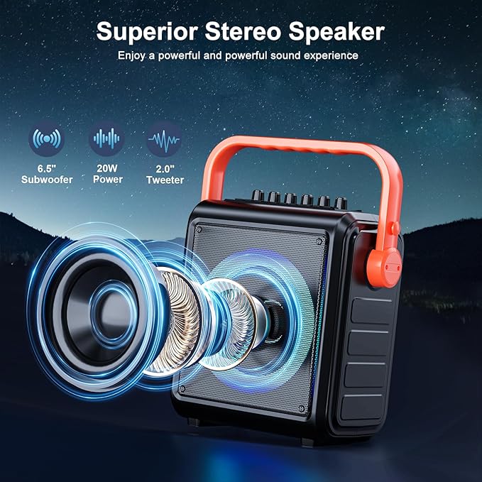 Karaoke Machine,8000mAh Portable Bluetooth Speaker with 2 Wireless Microphones for Adults & Kids,Microphone Speaker Set with Lights,Supports for TF Card,AUX in,FM,REC,for Parties,Outdoor,Home (HBL100)
