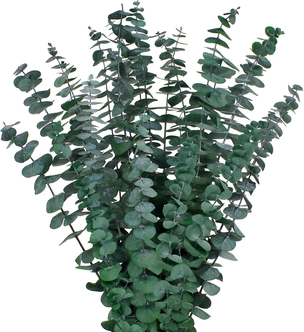 12PCS Dried Eucalyptus Bundle 17'' Real Eucalyptus Stems 100% Natural Fresh Leaves Hanging Plants Greenery Stems for Shower Home Decor Flower Arrangement Wedding