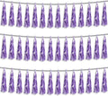 3P Light Purple Foil Fringe Metallic Tassel Streamers Banner Tassel Garland for Parade Floats, Bachelorette, Wedding, Birthday, Halloween, Christmas, Bridal/Baby Shower Party Decorations