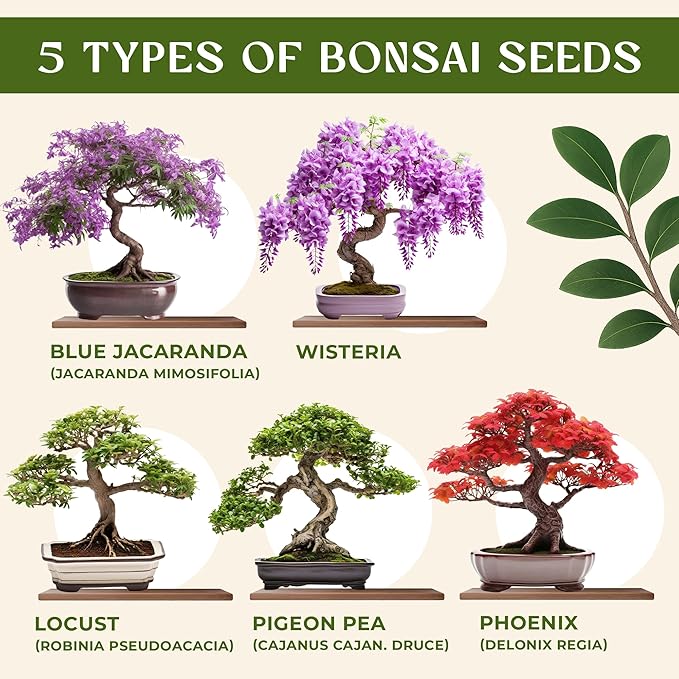 AVERGO Bonsai Tree Kit for Beginners – 5X Unique Japanese Bonzai Trees | Complete Indoor Starter Kit for Growing Plants with Bonsai Seeds, Tools & Planters – Gardening Gifts for Women & Men