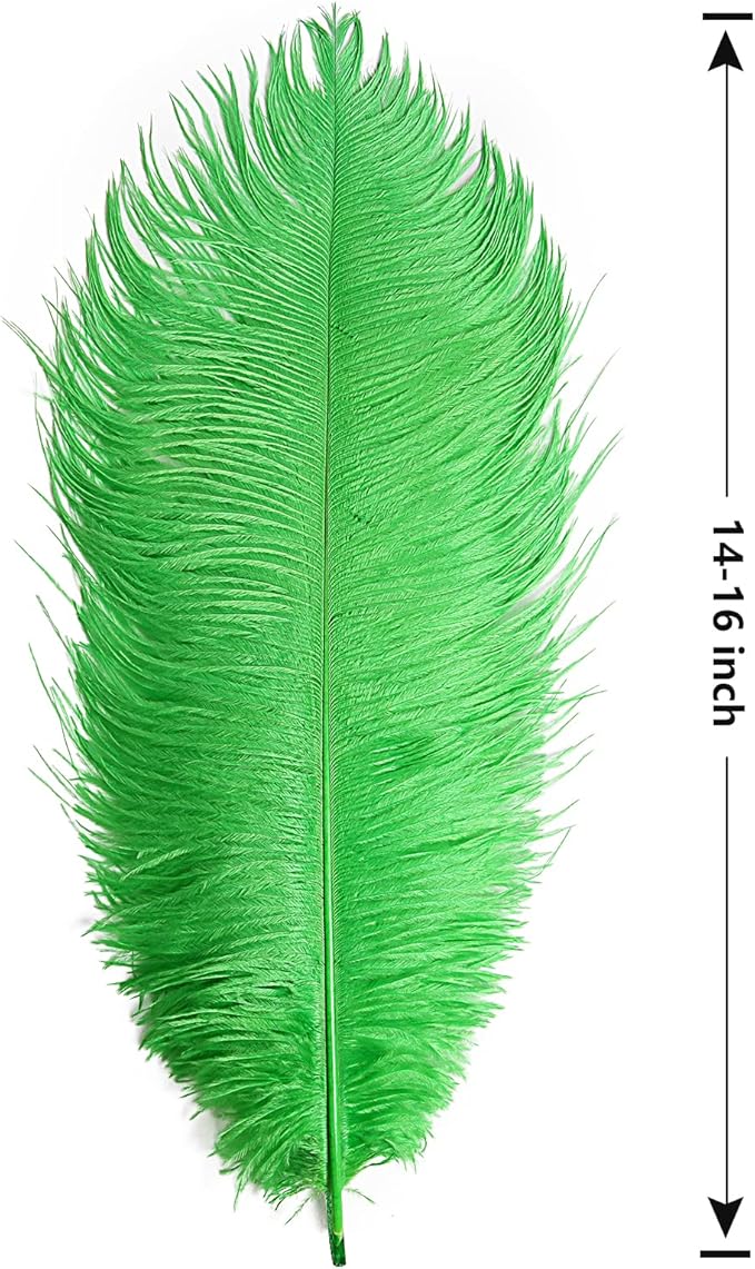 THARAHT Green Ostrich Feathers 12pcs Large Natural Bulk 14-16Inch 35cm-40cm for Wedding Party Centerpieces Mardi Gras and Home Decoration Feathers