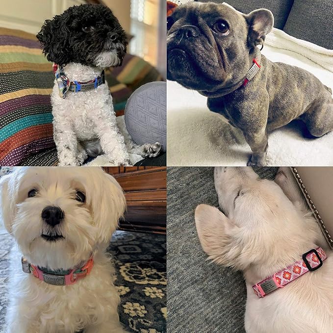 Personalized Custom Dog & Cat IDs - No Noise, Slide On, Engraved Dog Name Tags for Small, Medium, Large Pets
