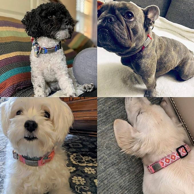 Personalized Dog & Cat ID Tags - Engraved Dog Name Tags - Slide On, Silent & Customizable for Small, Medium & Large Pets
