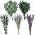 120+ Pcs Mixed Dried Eucalyptus & Lavender Flowers for Shower, Preserved Natural Eucalyptus Leaves for Wall Hanging, Plant Fragrance, Dried Florals for Vase Fillers, Wedding, Green Bathroom Decor