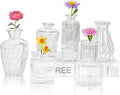 6Pcs Glass Bud Vase Set,Small Flower Vase for Tables Centerpieces Decor, Mini Vintage Clear Vase for Home,Wedding,Party Decorations（6 Pcs，Clear）