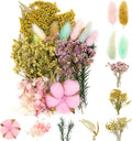 Vignee Real Dried Pressed Leaf Flowers-Multiple Colorful Pressed Flowers Daisies for Craft Resin Jewelry Making Art Craft DIY and Soap Candle Scrapbooking DIY Resin（Pink）
