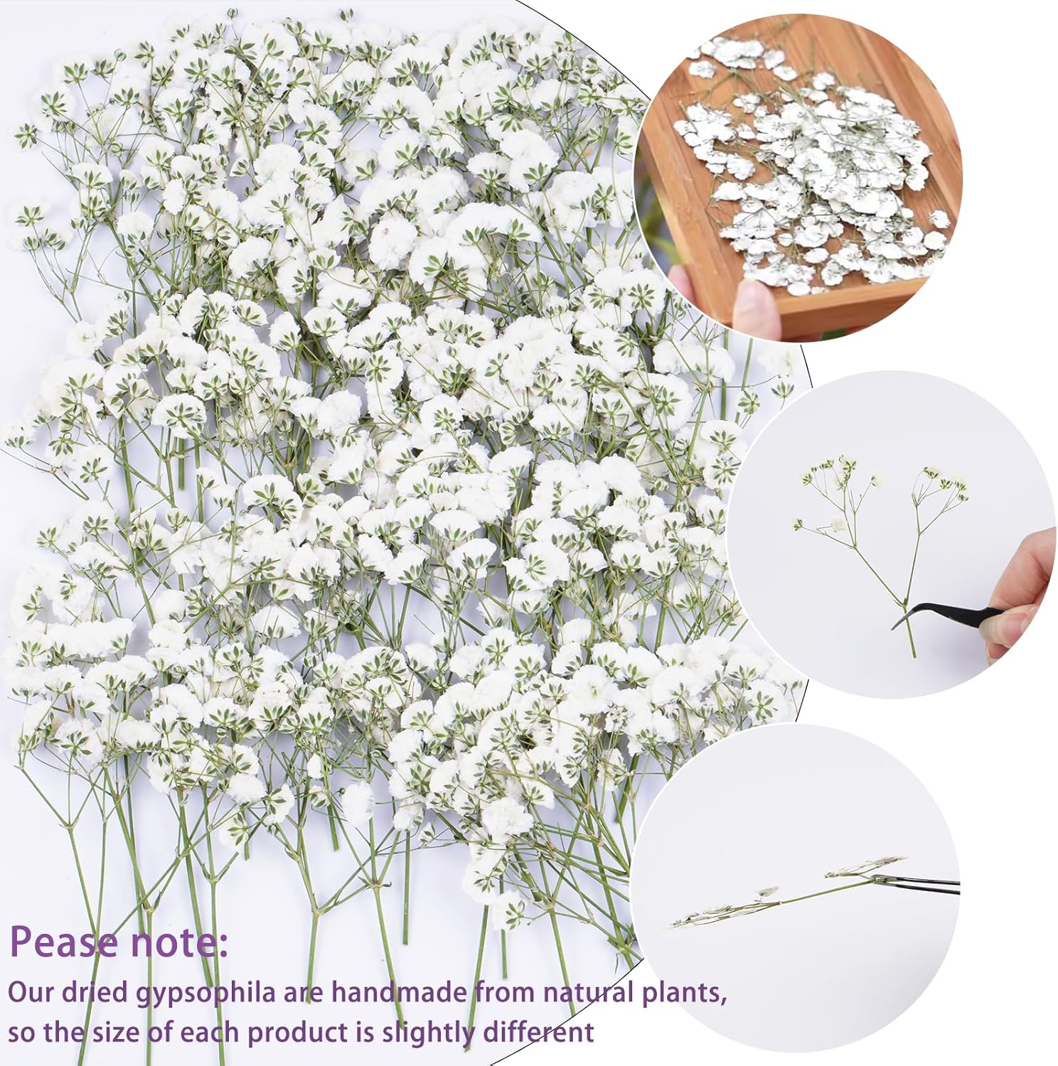 50Pcs Babys Breath Dried Pressed Flowers for Crafts,Xinxinran White Dry Flowers Kit for Wedding Invitation Accessories,Bookmark,Jewelry Molds,Candle Making Supplies,Soap,Frame,Cakes