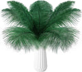 THARAHT 24pcs Ostrich Feathers Natural Bulk 10-12Inch 25cm-30cm for Wedding Party Centerpieces Easter Gatsby Flower Arrangement and Home Decorate Ostrich Feathers,Cyan