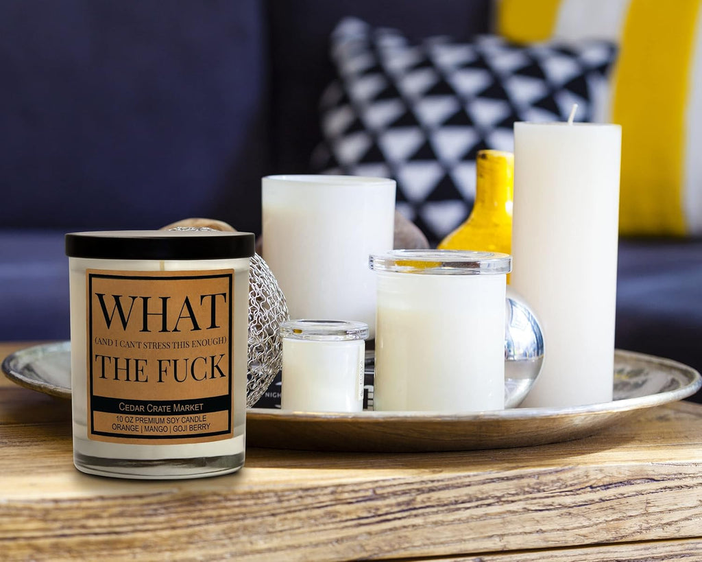 What (and I Can't Stress This Enough) The F, Best Friend, Friendship Gifts for Women or Men, Birthday, Going Away, Funny Gifts for Friends, Long Distance, Funny Candle, Scented Soy 10 oz Candle