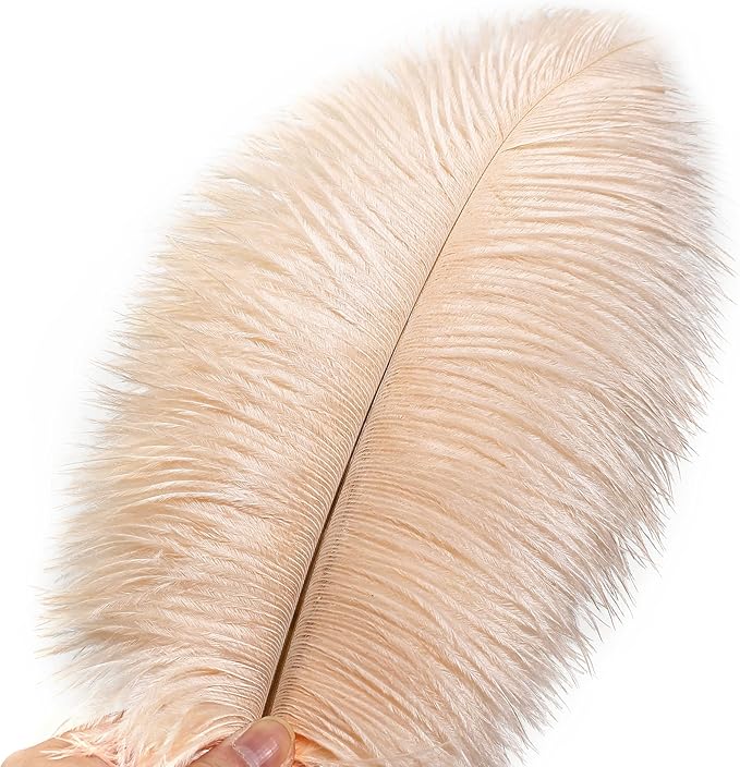 Ballinger Light Salmon Ostrich Feathers - 24pcs 12-14inch Big Feathers for Crafts，Wedding Party Centerpieces and Home Decor