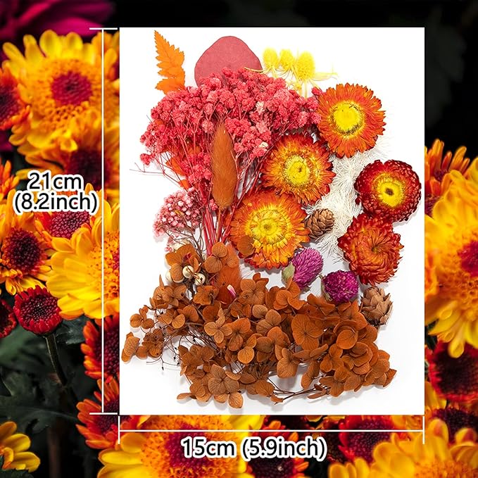 Vignee Real Dried Pressed Leaf Flowers-Multiple Colorful Pressed Flowers Daisies for Craft Resin Jewelry Making Art Craft DIY（Red）