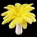 THARAHT Yellow Ostrich Feathers 24pcs Natural Bulk 8-10Inch 20cm-25cm for Crafts Wedding Party Centerpieces Halloween and Home Decoration Feathers