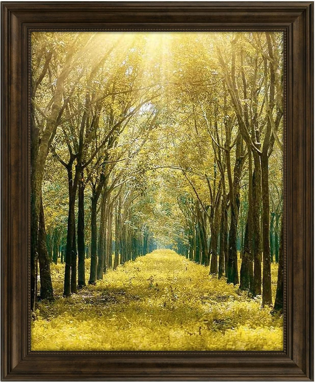 16x20 ornate picture frame,real glass,dark brown poster photo, main product view