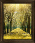 16x20 ornate picture frame,real glass,dark brown poster photo, main product view