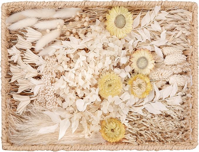DIY Natural Dried Flower Kit Loose Dried Flowers for vases Off-White Dried Flowers with Stems Preserved Hydrangeas Mini Dried Flower Bouquets (White)