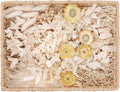 DIY Natural Dried Flower Kit Loose Dried Flowers for vases Off-White Dried Flowers with Stems Preserved Hydrangeas Mini Dried Flower Bouquets (White)