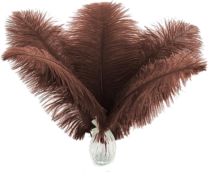 Ballinger Brown Ostrich Feathers Bulk - 24pcs 10-12inch Boho Feathers for vase，Wedding Party Centerpieces and Home Decor