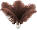 Ballinger Brown Ostrich Feathers Bulk - 24pcs 10-12inch Boho Feathers for vase，Wedding Party Centerpieces and Home Decor