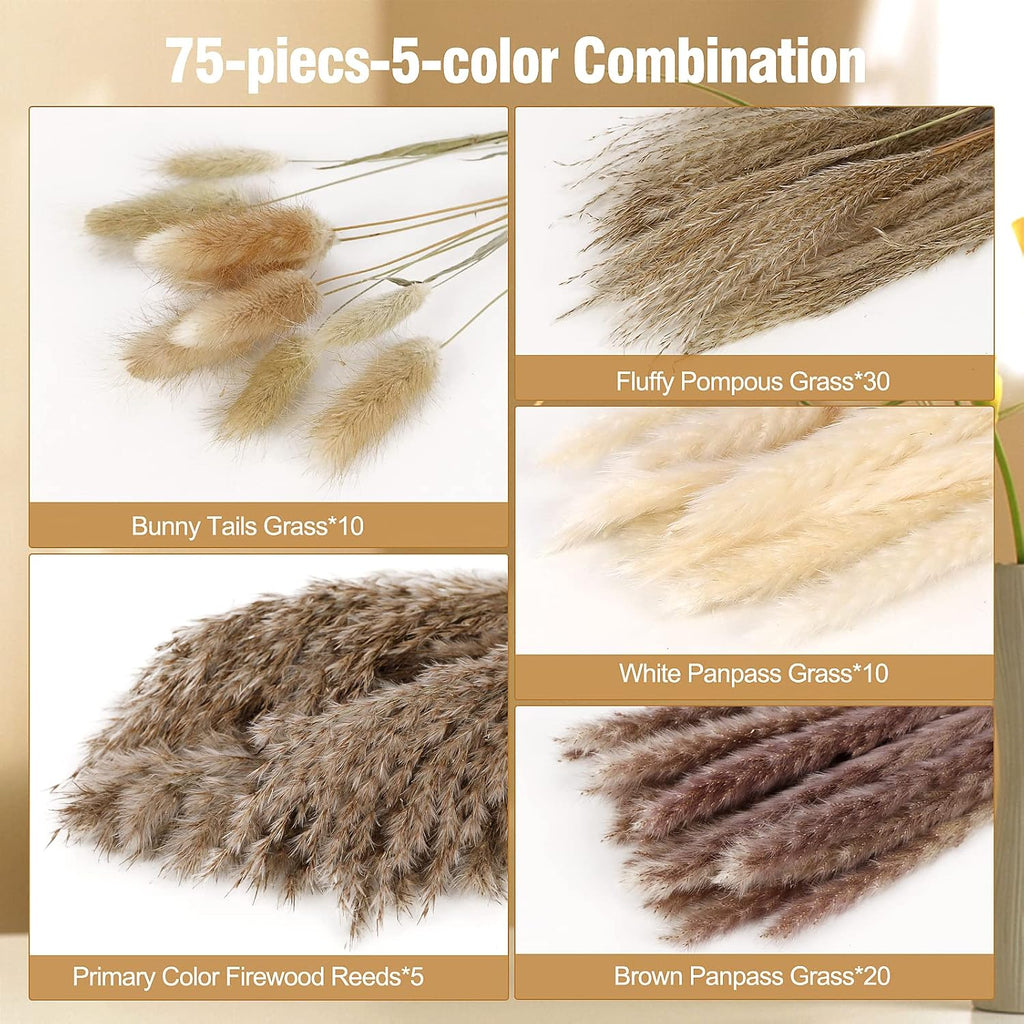 N&T NETING Dried Pampas Grass Decor- White Pampas Grass, Brown Pampas, Bunny Tail, Reed, Fluffy Dried Pompas Grass Flower for Home Wedding Table Vase Boho Modern Decor, 75Pcs
