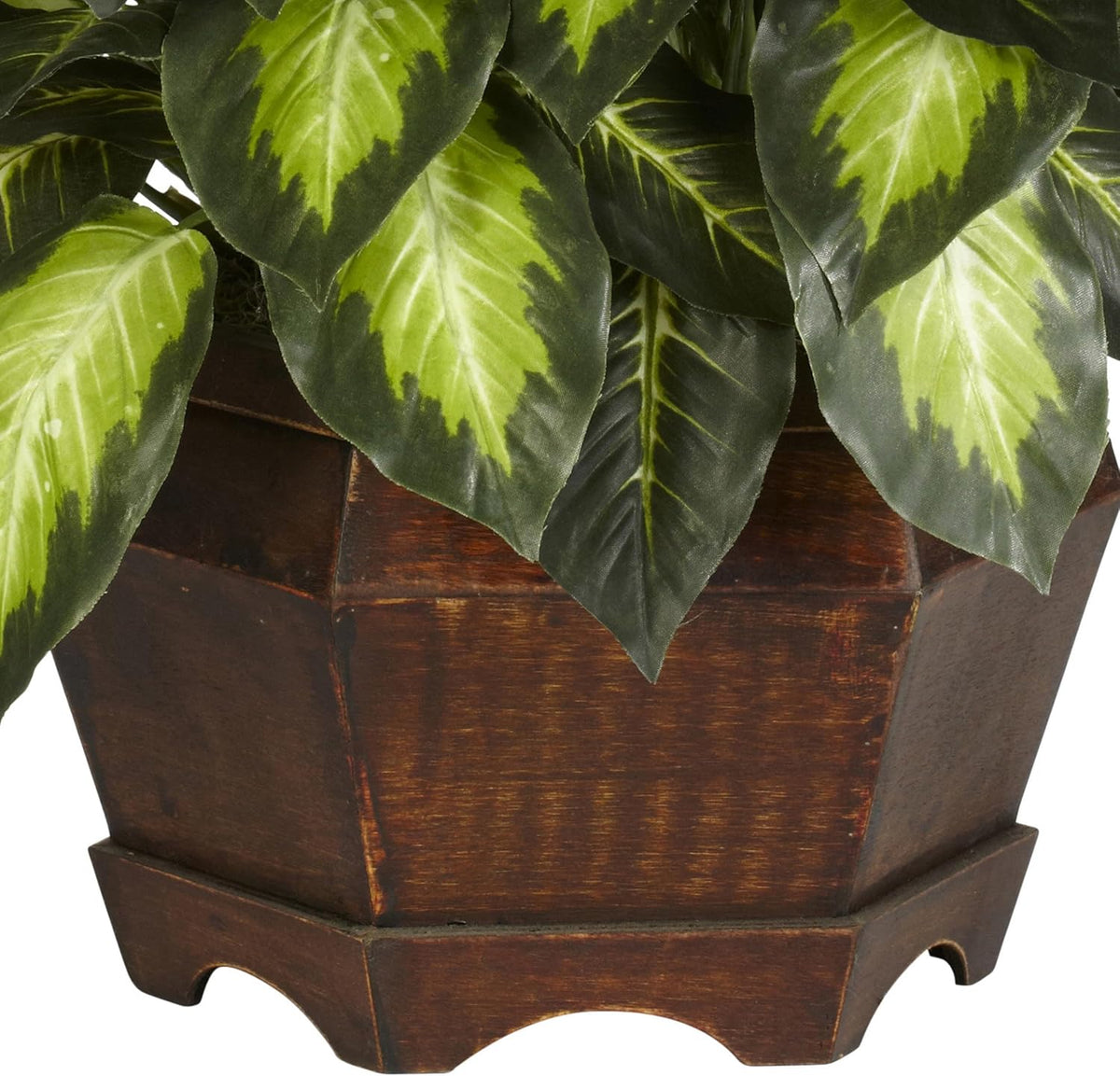 nearly natural 24 in artificial golden dieffenbachia plant, package contents