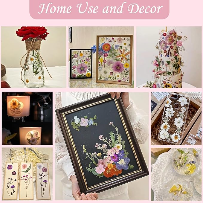 80 Pcs Dried Flowers for Crafts, Real Natural Dried Pressed Flowers in Vibrant Colors for Resin, DIY Art, Jewelry, Candle & Soap Making – Tweezers Included