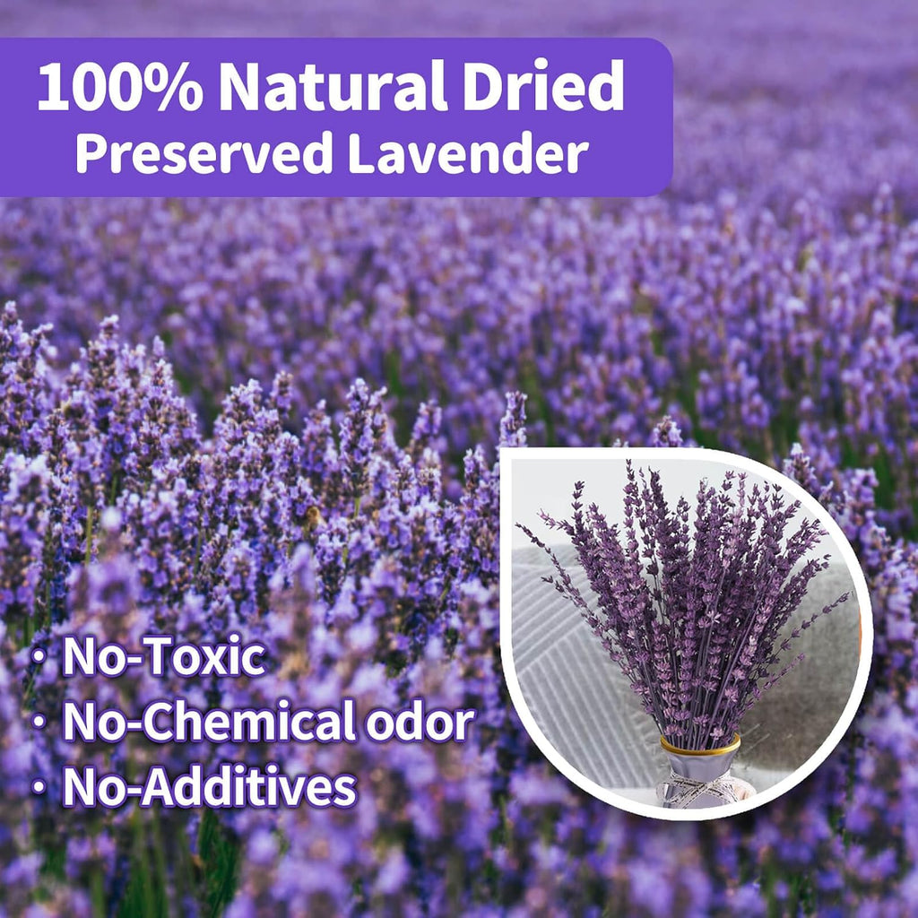 Dried Lavender Flowers, Preserved Lavender Bouquet 15-17 Inches, Purple Lavender Bundle for Shower, Home Decor, Vase Filler, Wedding Decorations, Aromatherapy, DIY Crafts, 50g(1.76oz)