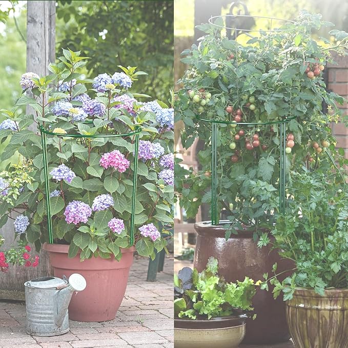 6 Pack 30 inch Plant Support Stakes, Heavy-Duty Half Round Peony Support, Garden Plant Stakes Cage for Outdoor Plants, Peony, Tomato, Hydrangea, (15In Support +15In Stainless Extension Tubes)