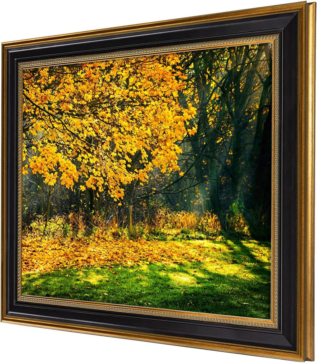 16x20 ornate picture frame with real glass,gold black shown in use