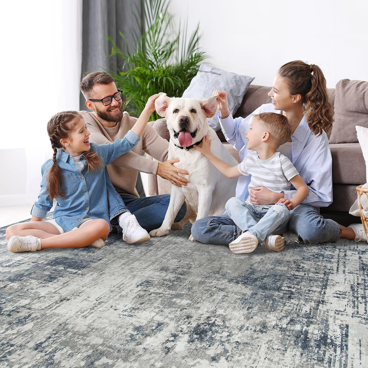 8x10 Area Rugs for Living Room Bedroom Dining Room Washable Blue Grey