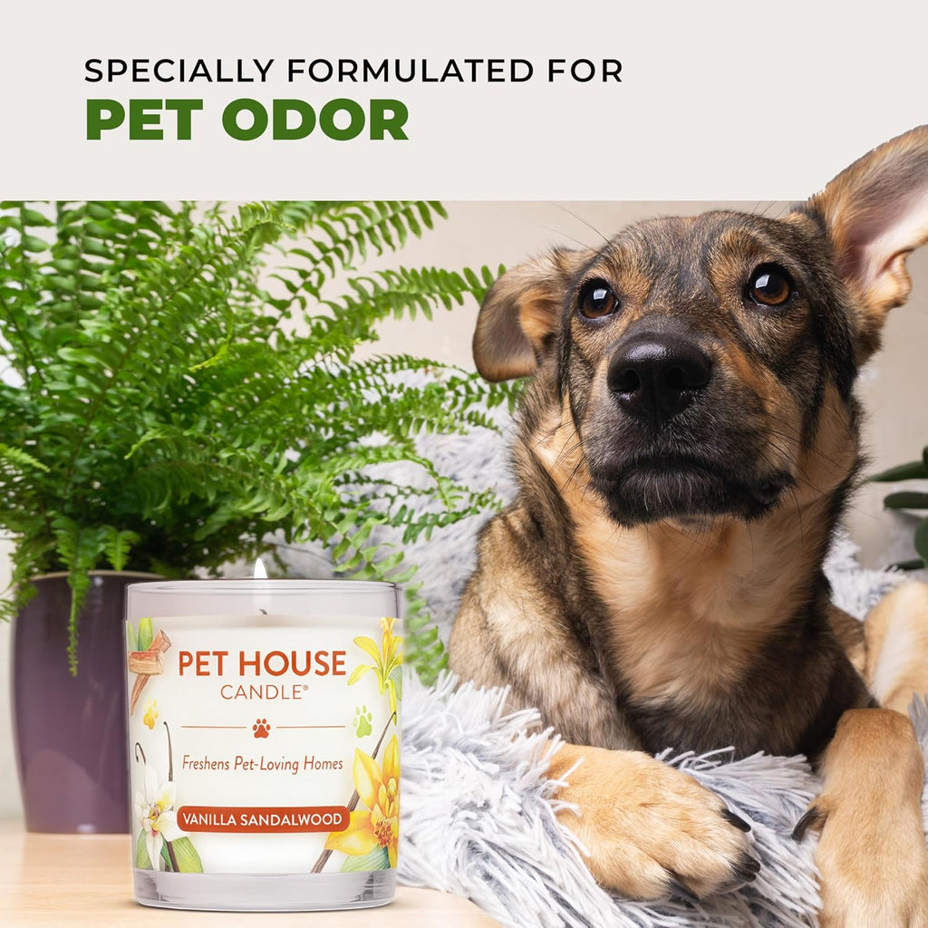 One Fur All Pet House Vanilla Candle Plant-Based/Soy - Clean Burning Scented, Long Lasting Pet Odor Candle for Home - Fresh Citrus