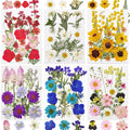 Dried Flowers for Resin, 106pcs Natural Flowers and Leaves Compressed | Vacuum Packed DIY Pressed Flowers for Epoxy, Jewelry, Candles, Soap, Nail Production