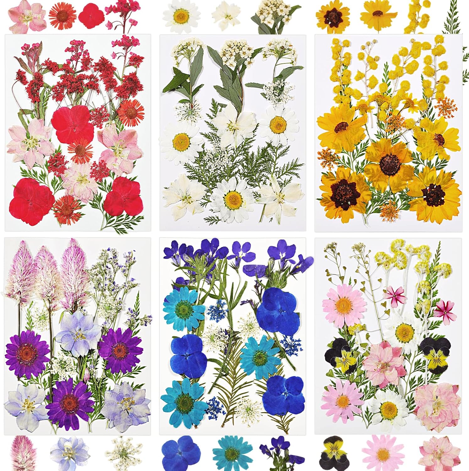 Dried Flowers for Resin, 106pcs Natural Flowers and Leaves Compressed | Vacuum Packed DIY Pressed Flowers for Epoxy, Jewelry, Candles, Soap, Nail Production